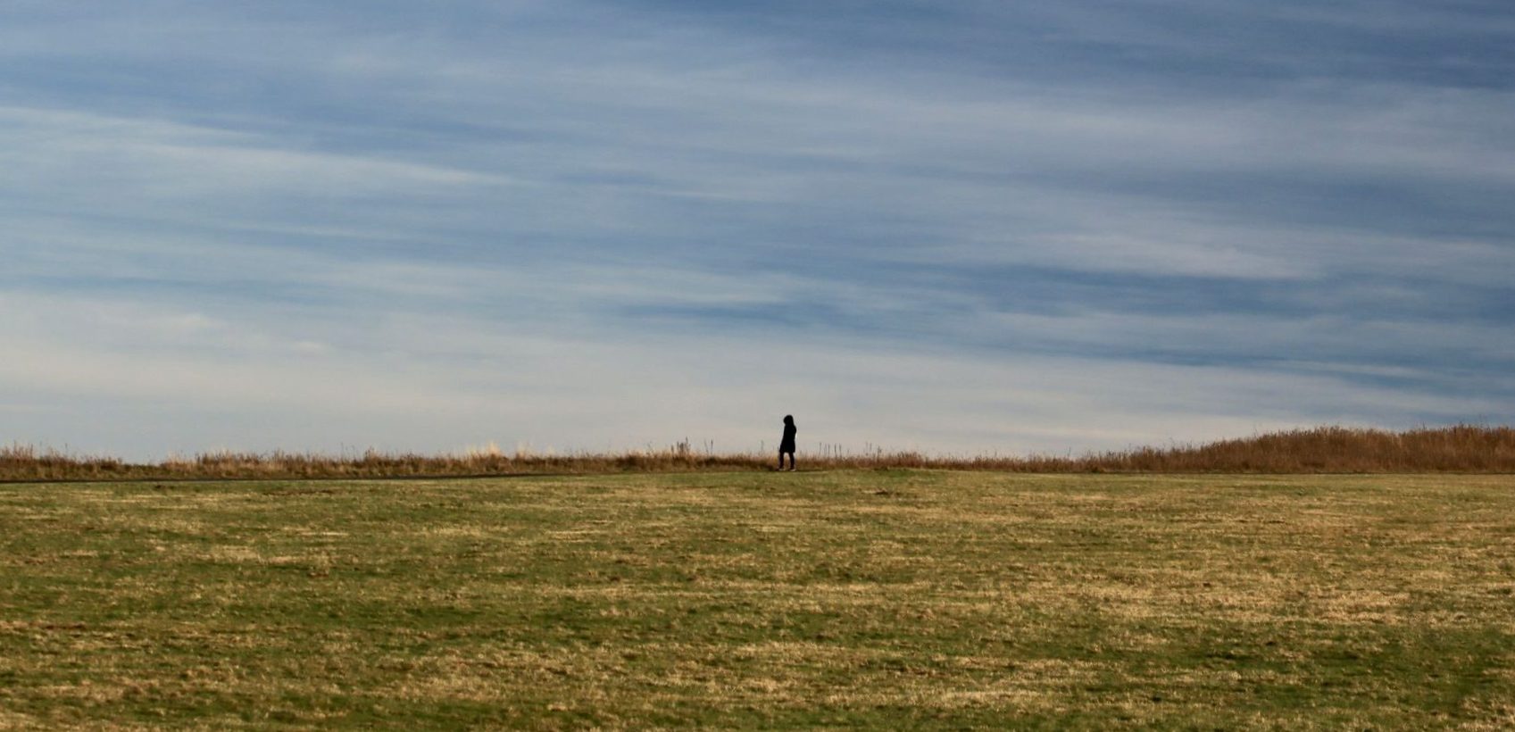 An image of a walking path extending horizontally behind a the banner for the website. The sky is cloudy and blue, there is dried light tan grass with some green. 