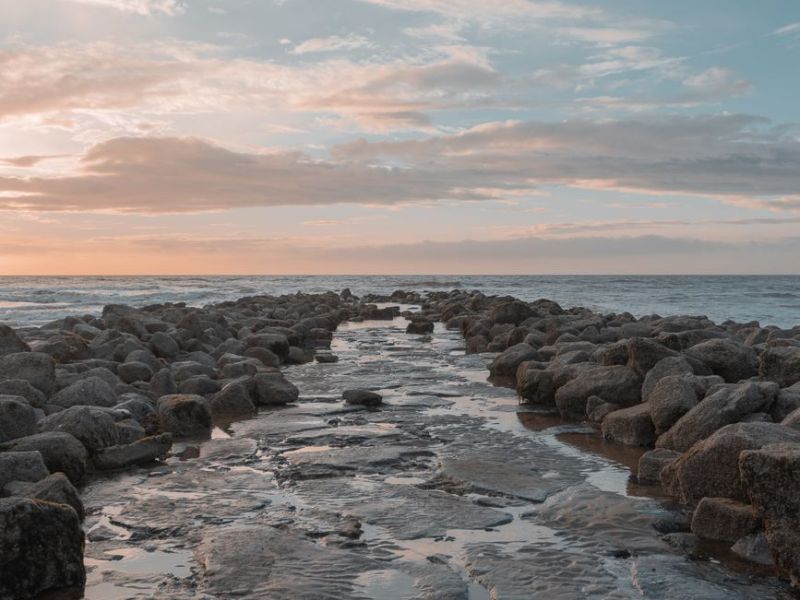 From Self-criticism to Self-compassion: How Compassion Focused Therapy&nbsp;Works